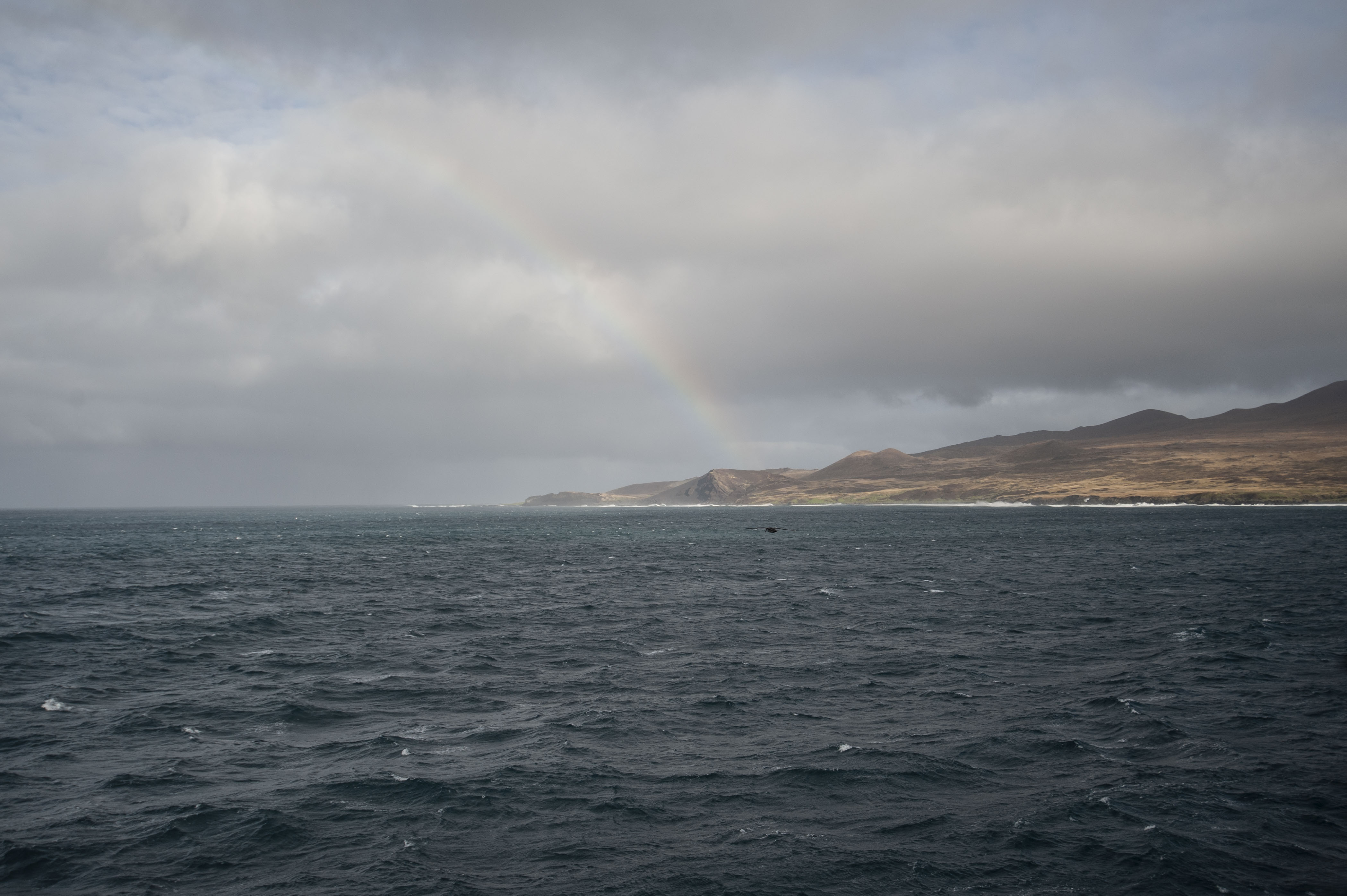 GYT 20220630 121521  DSC6109